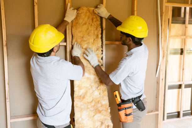 Best Insulation Removal  in Norwood, PA